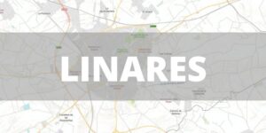 Mapa Catastral de Linares
