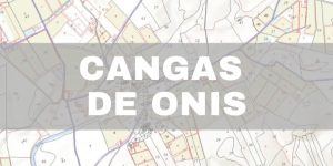 Mapa Catastral de Cangas de Onís: Catastro Virtual