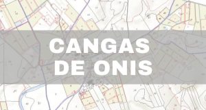 Mapa Catastral de Cangas de Onís: Catastro Virtual